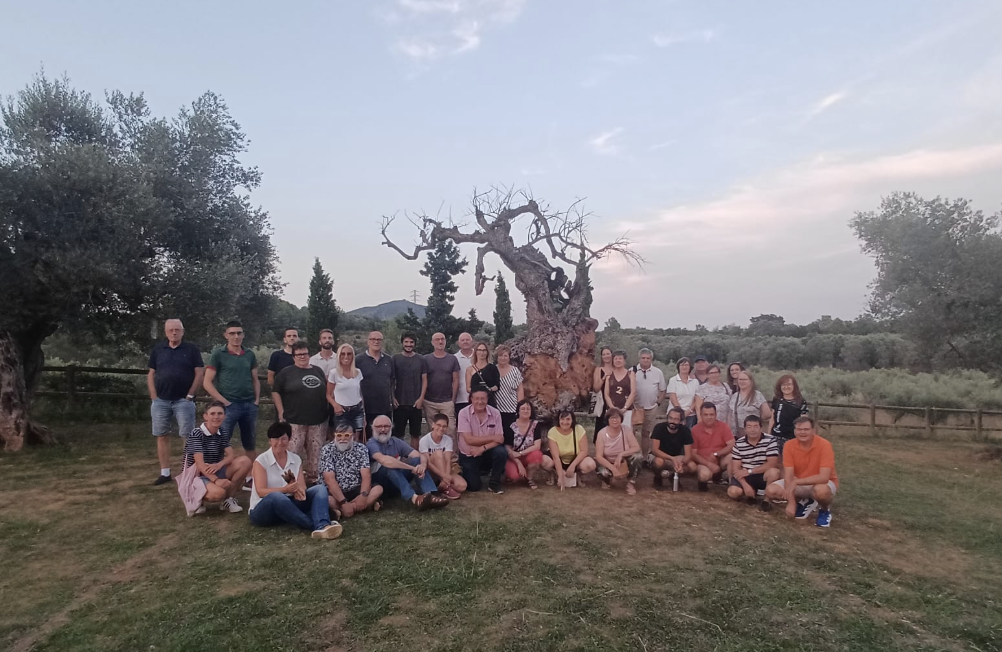 Nueva vida al Olivo Milenario Muerto de la Jana