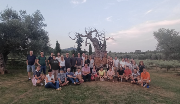 Nueva vida al Olivo Milenario Muerto de la Jana